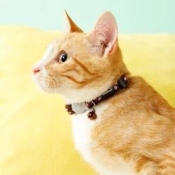 Red Dingo Spots Nylon Breakaway Cat Collar With Bell -Meow Meals 57572 PT2. AC SS1800 V1684873973