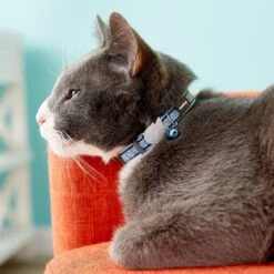 Red Dingo Nylon Reflective Breakaway Cat Collar With Bell 11 Red Dingo Nylon Reflective Breakaway Cat Collar With Bell -Meow Meals 57577 PT2. AC SS1800 V1684885607