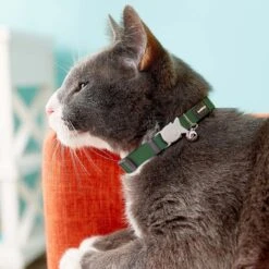 Red Dingo Classic Nylon Breakaway Cat Collar With Bell -Meow Meals 57591 PT2. AC SS1800 V1684885606