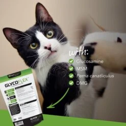 VetriScience GlycoFlex 2 Chicken Liver Flavored Soft Chews Joint Supplement For Cats -Meow Meals 57617 PT1. AC SS1800 V1486047617