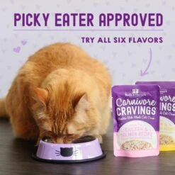 Stella & Chewy's Carnivore Cravings Duck & Chicken Flavored Shredded Wet Cat Food -Meow Meals 576262 PT8. AC SS1800 V1657660465