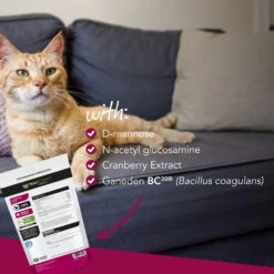 VetriScience UT Strength Feline Chicken Liver Flavored Soft Chews Urinary Supplement For Cats -Meow Meals 57626 PT3. AC SS1800 V1658942906