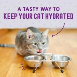 Stella & Chewy's Carnivore Cravings Tuna & Pumpkin Flavored Shredded Wet Cat Food -Meow Meals 576278 PT7. AC SS1800 V1657660465