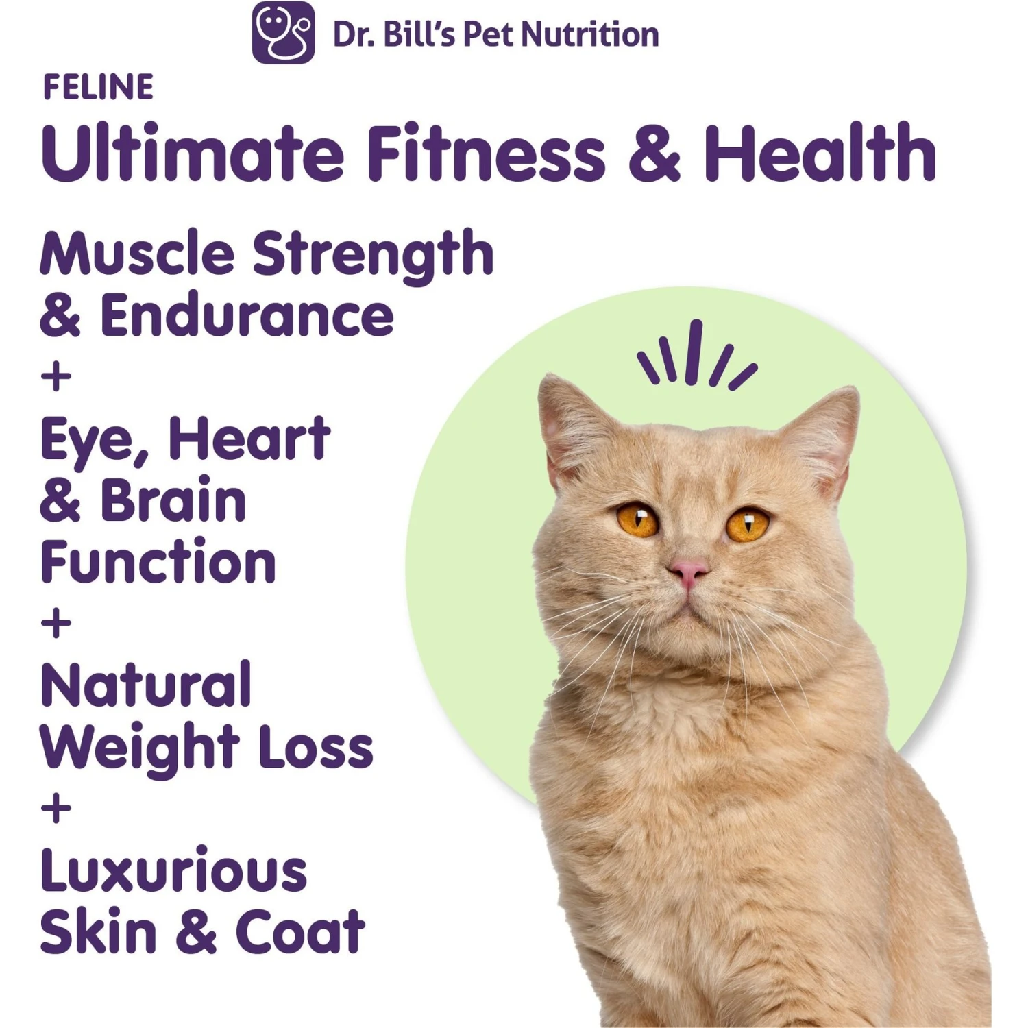 Dr. Bill's Pet Nutrition Feline Ultimate Fitness & Health Cat Supplement Powder 4 Dr. Bill's Pet Nutrition Feline Ultimate Fitness & Health Cat Supplement Powder - Image 2