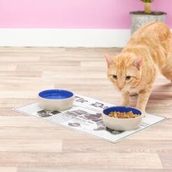 ORE Pet The Daily Cat Placemat 7 ORE Pet The Daily Cat Placemat -Meow Meals 58425 PT7. AC SS1800 V1517251267