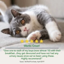 Vet's Best Chewable Tablets Urinary Supplement For Cats 15 Vet's Best Chewable Tablets Urinary Supplement For Cats -Meow Meals 60160 PT5. AC SS1800 V1632794792