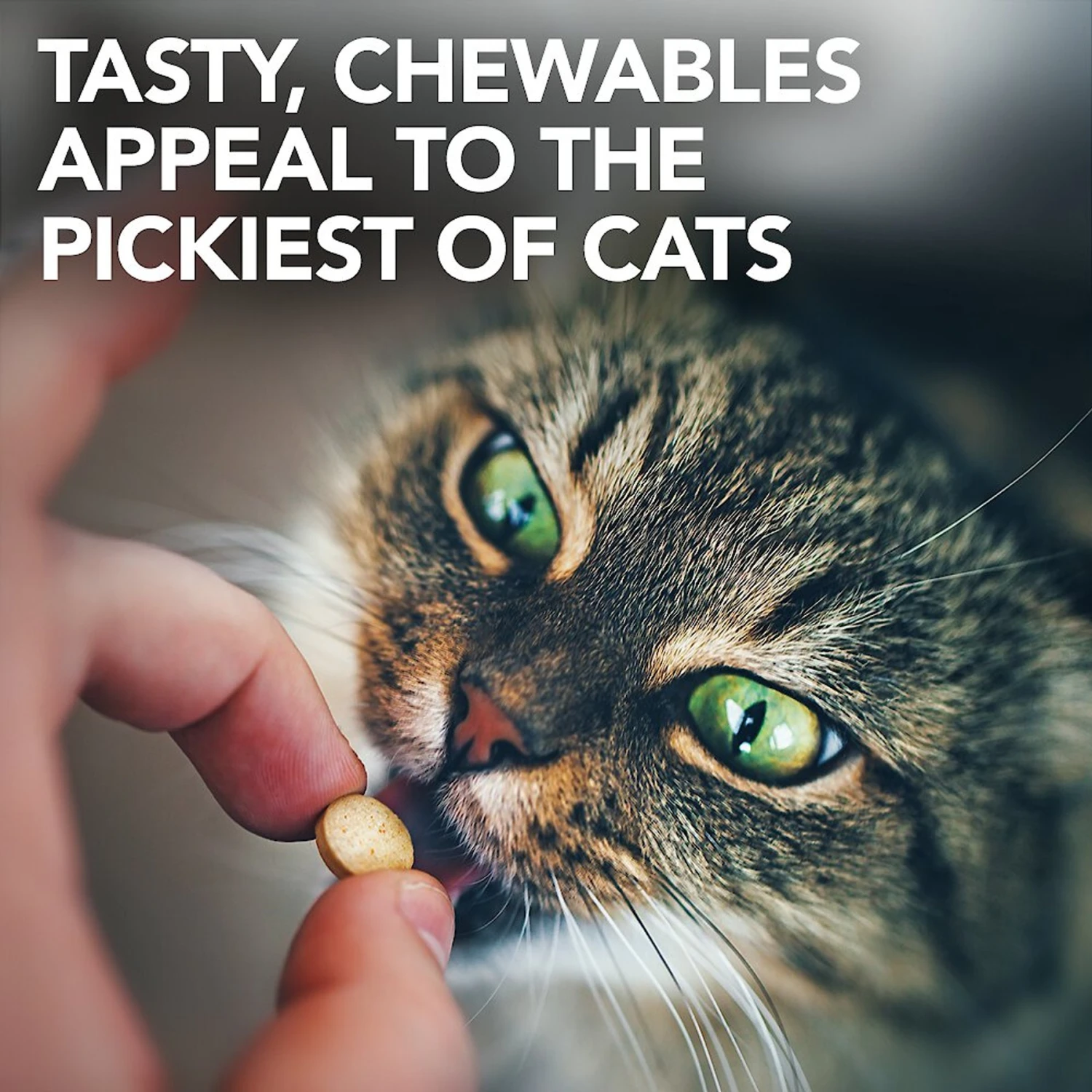 Vet's Best Chewable Tablets Urinary Supplement For Cats 9 Vet's Best Chewable Tablets Urinary Supplement For Cats - Image 7