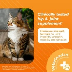VetriScience GlycoFlex 3 Chicken Liver Flavored Soft Chews Joint Supplement For Cats -Meow Meals 60806 PT1. AC SS1800 V1649862706