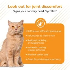 VetriScience GlycoFlex 3 Chicken Liver Flavored Soft Chews Joint Supplement For Cats -Meow Meals 60806 PT3. AC SS1800 V1657660700