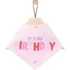 Frisco Dog & Cat Birthday Bandana -Meow Meals 608206 MAIN. AC SS1800 V1676643308
