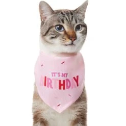 Frisco Dog & Cat Birthday Bandana -Meow Meals 608206 PT2. AC SS1800 V1676644511