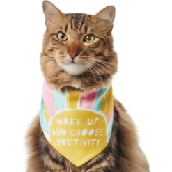 Frisco Wake Up Positive Dog & Cat Bandana 12 Frisco Wake Up Positive Dog & Cat Bandana -Meow Meals 608230 PT2. AC SS1800 V1676644830