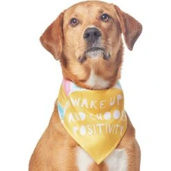 Frisco Wake Up Positive Dog & Cat Bandana 13 Frisco Wake Up Positive Dog & Cat Bandana -Meow Meals 608230 PT3. AC SS1800 V1676643831