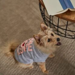 Frisco I Love Daddy Heart Dog & Cat T-Shirt -Meow Meals 608262 PT7. AC SS1800 V1676585954