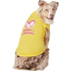 Frisco Mama's Sunshine Dog & Cat T-Shirt -Meow Meals 608446 PT3. AC SS1800 V1676586071