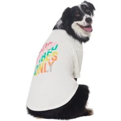 Frisco Good Vibes Only Dog & Cat T-Shirt -Meow Meals 608518 PT3. AC SS1800 V1676642216