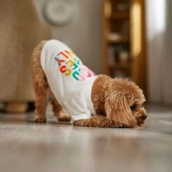 Frisco Good Vibes Only Dog & Cat T-Shirt -Meow Meals 608518 PT7. AC SS1800 V1676644453