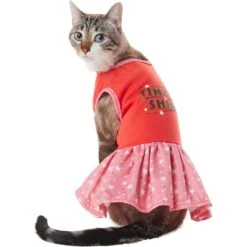 Frisco Time To Shine Dog & Cat Dress 11 Frisco Time To Shine Dog & Cat Dress -Meow Meals 608638 PT2. AC SS1800 V1676643324