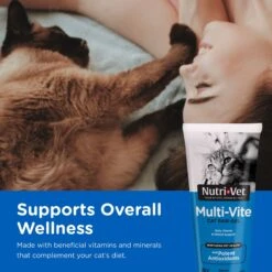 Nutri-Vet Multi-Vite Salmon Flavored Gel Multivitamin For Cats 12 Nutri-Vet Multi-Vite Salmon Flavored Gel Multivitamin For Cats -Meow Meals 61064 PT1. AC SS1800 V1657660701