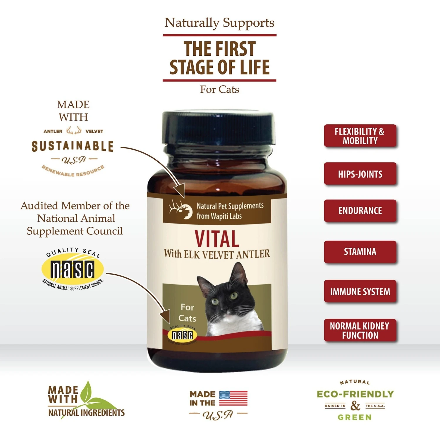 Wapiti Labs Vital Formula Cat Supplement 5 Wapiti Labs Vital Formula Cat Supplement - Image 3