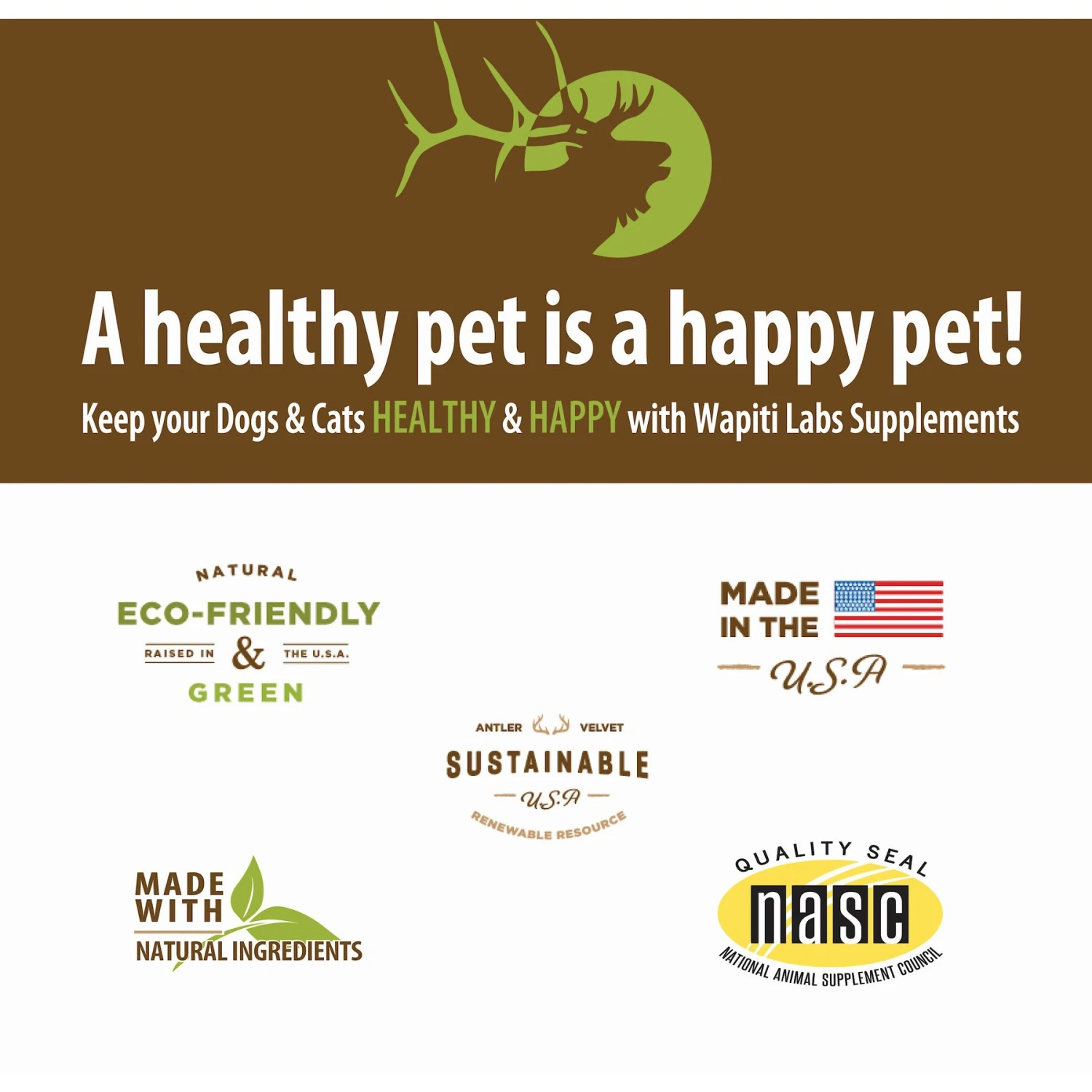 Wapiti Labs Vital Formula Cat Supplement 9 Wapiti Labs Vital Formula Cat Supplement - Image 7