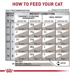 Royal Canin Veterinary Diet Adult Gastrointestinal Moderate Calorie Thin Slices In Gravy Canned Cat Food 17 Royal Canin Veterinary Diet Adult Gastrointestinal Moderate Calorie Thin Slices In Gravy Canned Cat Food -Meow Meals 61810 PT6. AC SS1800 V1691506525
