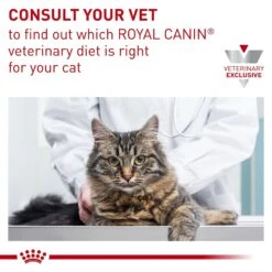 Royal Canin Veterinary Diet Adult Gastrointestinal Moderate Calorie Thin Slices In Gravy Canned Cat Food 19 Royal Canin Veterinary Diet Adult Gastrointestinal Moderate Calorie Thin Slices In Gravy Canned Cat Food -Meow Meals 61810 PT8. AC SS1800 V1691702090