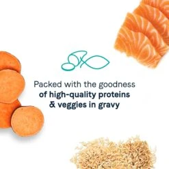 CANIDAE Balanced Bowl Salmon & Sweet Potato Recipe In Gravy Wet Cat Food, 3-oz Can, Case Of 24 & CANIDAE Balanced Bowl Chicken & Pumpkin Recipe In Gravy Wet Cat Food, 3-oz Can, Case Of 24 -Meow Meals 632646 PT4. AC SS1800 V1663602796