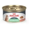 Royal Canin Feline Care Nutrition Digestive Care Thin Slices In Gravy Canned Cat Food -Meow Meals 63430 MAIN. AC SS1800 V1697762326