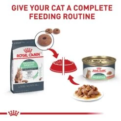 Royal Canin Feline Care Nutrition Digestive Care Thin Slices In Gravy Canned Cat Food -Meow Meals 63430 PT5. AC SS1800 V1697757757