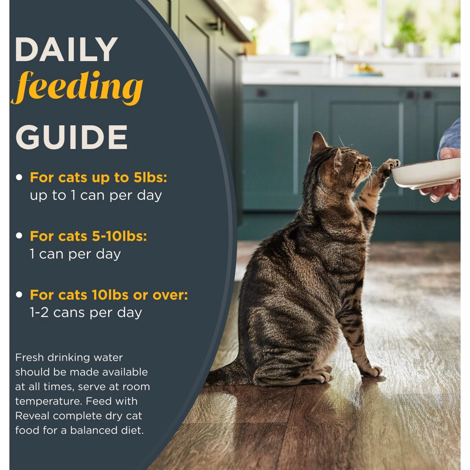 Reveal Natural Grain-Free Tuna With Sea Bream In Broth Flavored Wet Cat Food, 2.47-oz Can, Case Of 24 8 Reveal Natural Grain-Free Tuna With Sea Bream In Broth Flavored Wet Cat Food, 2.47-oz Can, Case Of 24 - Image 6