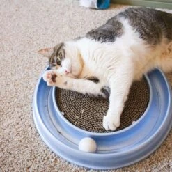 Bergan Scratcher Replacement Pads, 2 Count -Meow Meals 64228 PT4. AC SS1800 V1673648563