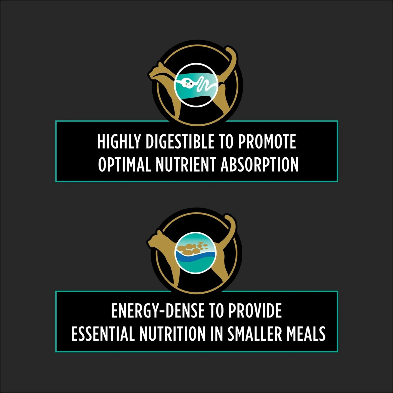 Purina Pro Plan Veterinary Diets EN Gastroenteric Wet Cat Food 6 Purina Pro Plan Veterinary Diets EN Gastroenteric Wet Cat Food - Image 4