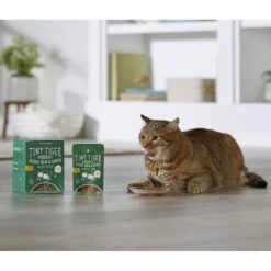 Tiny Tiger Pate Turkey & Giblets Recipe Grain-Free Canned Cat Food & Tiny Tiger Lickables, Senior Formula, Tuna & Chicken Recipe, Bisque Cat Treat & Topper -Meow Meals 652974 PT8. AC SS1800 V1664899443
