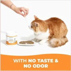 Alpha Paw Cat L-Lysine Immune Support Cat Supplement, 8-oz Jar 14 Alpha Paw Cat L-Lysine Immune Support Cat Supplement, 8-oz Jar -Meow Meals 653862 PT6. AC SS1800 V1665756959