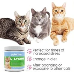 Alpha Paw Cat L-Lysine Immune Support Cat Supplement, 8-oz Jar 15 Alpha Paw Cat L-Lysine Immune Support Cat Supplement, 8-oz Jar -Meow Meals 653862 PT7. AC SS1800 V1665666913