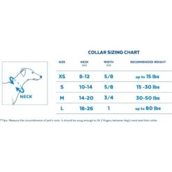 STAR WARS THE MANDALORIAN GROGU Pumpkin Dog Collar + 2 Items 13 STAR WARS THE MANDALORIAN GROGU Pumpkin Dog Collar + 2 Items -Meow Meals 656358 PT2. AC SS1800 V1665684477