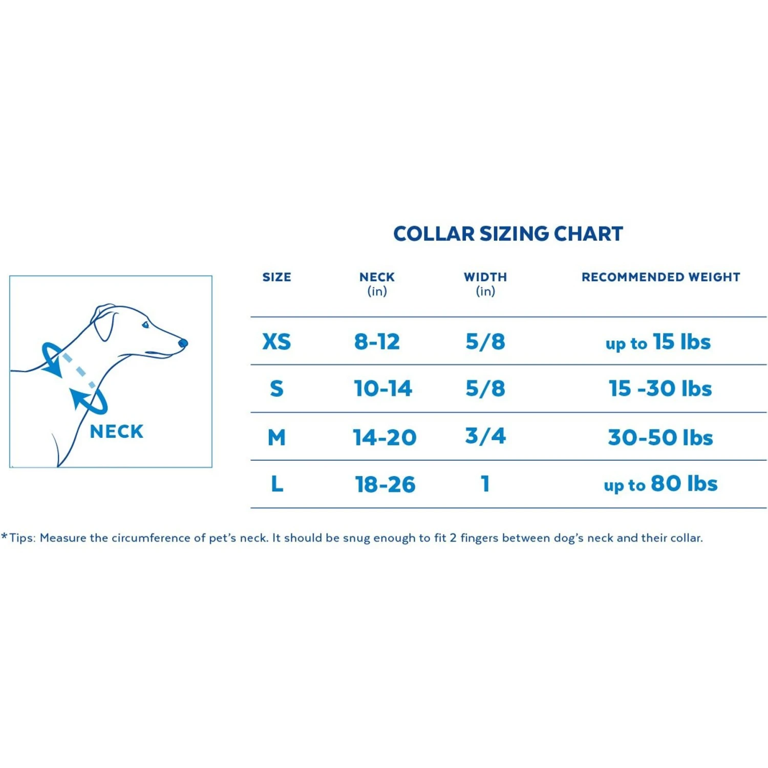 STAR WARS THE MANDALORIAN GROGU Pumpkin Dog Collar + 2 Items 5 STAR WARS THE MANDALORIAN GROGU Pumpkin Dog Collar + 2 Items - Image 3