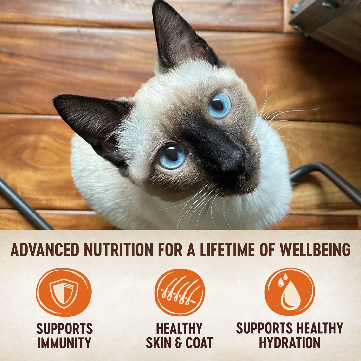 Wellness CORE Signature Selects Shredded Boneless Chicken & Chicken Liver Entree In Sauce Grain-Free Natural Canned Cat Food & Wellness CORE Signature Selects Flaked Skipjack Tuna & Wild Salmon Entree In Broth Grain-Free Canned Cat Food 7 Wellness CORE Signature Selects Shredded Boneless Chicken & Chicken Liver Entree In Sauce Grain-Free Natural Canned Cat Food & Wellness CORE Signature Selects Flaked Skipjack Tuna & Wild Salmon Entree In Broth Grain-Free Canned Cat Food - Image 5