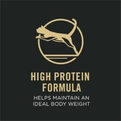 Purina Pro Plan Focus Adult Indoor Care Salmon & Rice Entree In Sauce Canned Cat Food -Meow Meals 67915 PT2. AC SS1800 V1669672511