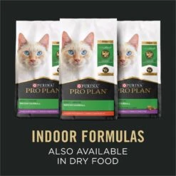 Purina Pro Plan Focus Adult Indoor Care Salmon & Rice Entree In Sauce Canned Cat Food -Meow Meals 67915 PT6. AC SS1800 V1669661435