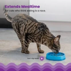Petstages Kitty Slow Cat Feeder -Meow Meals 684990 PT2. AC SS1800 V1700515753