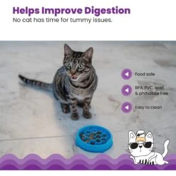 Petstages Kitty Slow Cat Feeder -Meow Meals 684990 PT3. AC SS1800 V1700515751