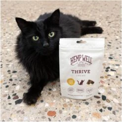 Hemp Well Thrive Skin & Coat Soft Chew Supplement For Cats, 60 Count 13 Hemp Well Thrive Skin & Coat Soft Chew Supplement For Cats, 60 Count -Meow Meals 685198 PT3. AC SS1800 V1700689846