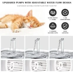 PetNF Transparent Cat Water Drinking Fountain -Meow Meals 693830 PT6. AC SS1800 V1667865295