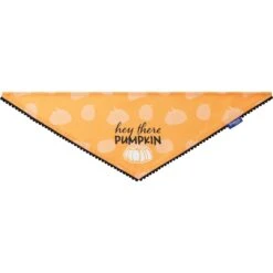 Frisco Hey There Pumpkin Dog & Cat Bandana -Meow Meals 706374 PT3. AC SS1800 V1689282446
