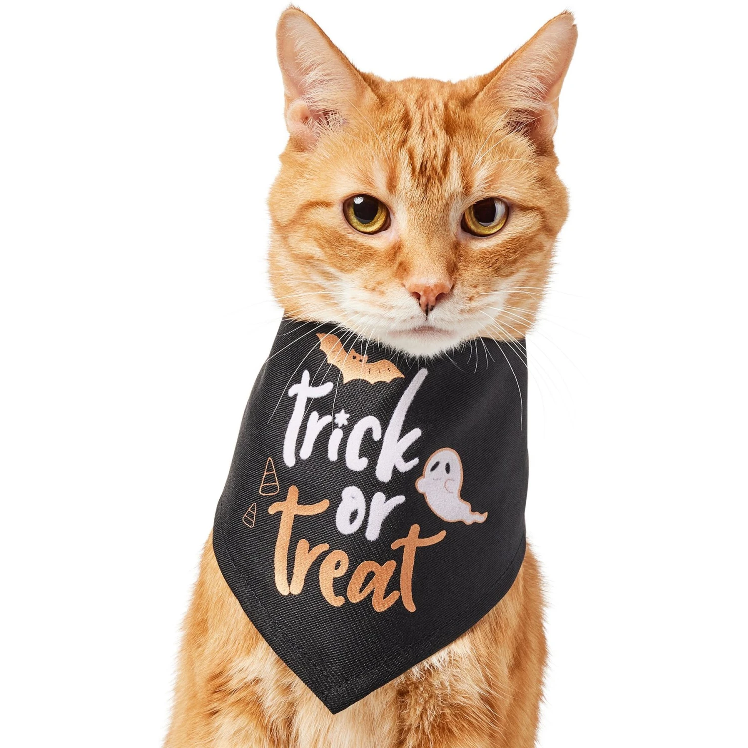 Frisco Trick Or Treat Dog & Cat Bandana 3 Frisco Trick Or Treat Dog & Cat Bandana