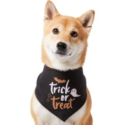 Frisco Trick Or Treat Dog & Cat Bandana 11 Frisco Trick Or Treat Dog & Cat Bandana -Meow Meals 706398 PT2. AC SS1800 V1690478415