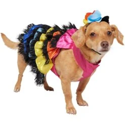 Frisco Ruffle Party Dog & Cat Dress + Headpiece -Meow Meals 707350 PT2. AC SS1800 V1689278779