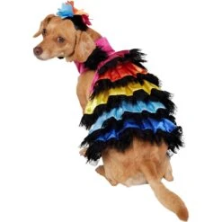 Frisco Ruffle Party Dog & Cat Dress + Headpiece -Meow Meals 707350 PT3. AC SS1800 V1689278371